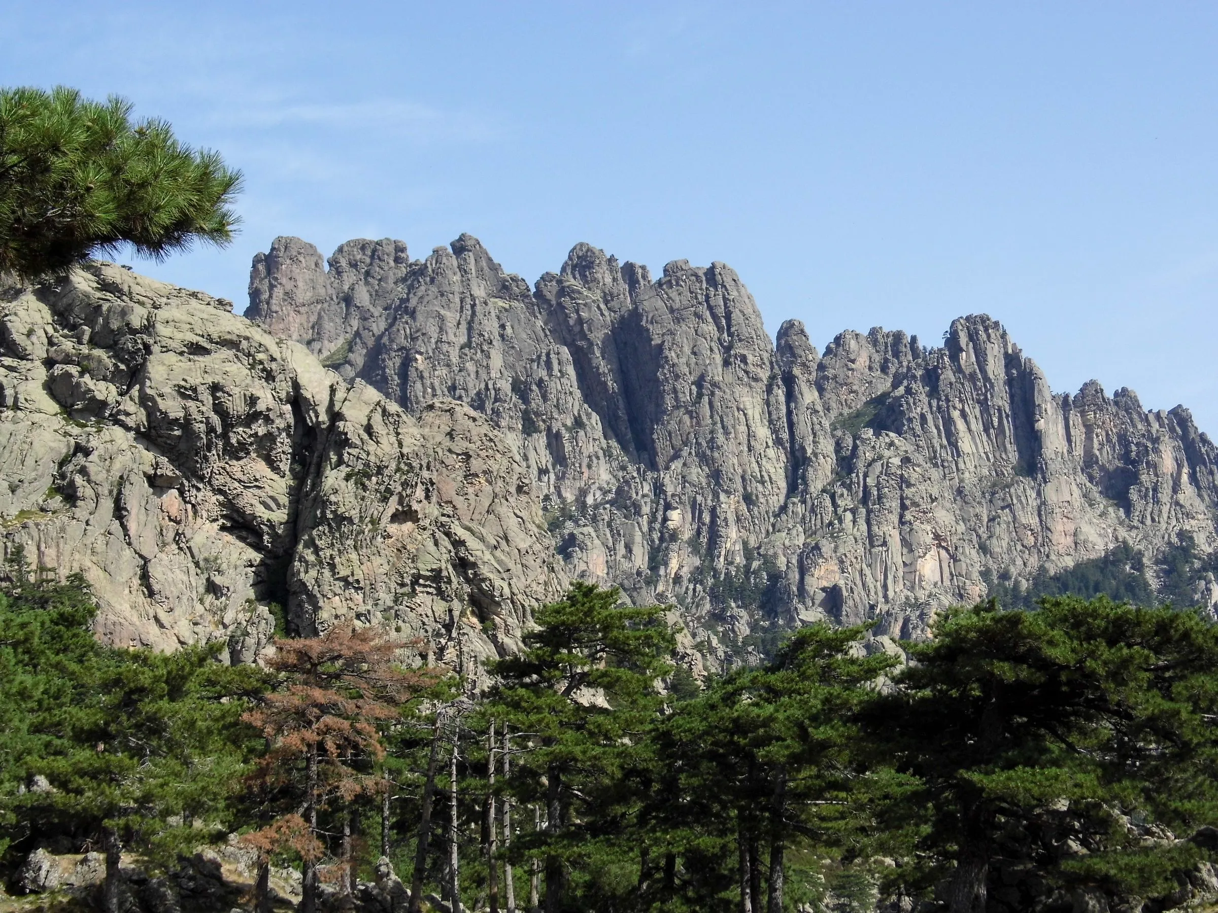 Die Granit-Felsnadeln der Aiguilles de Bavella, im Vordergrund korsische Schwarzkiefern